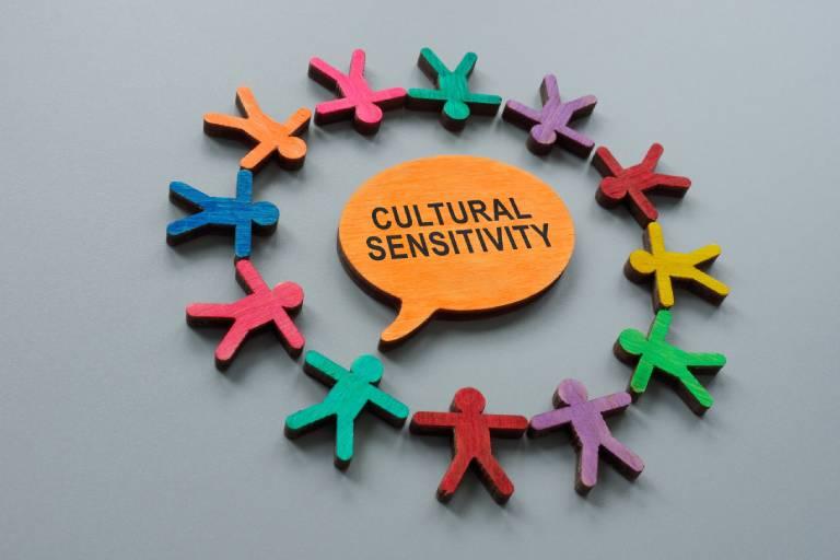 Navigating Cultural Sensitivities in Conversations